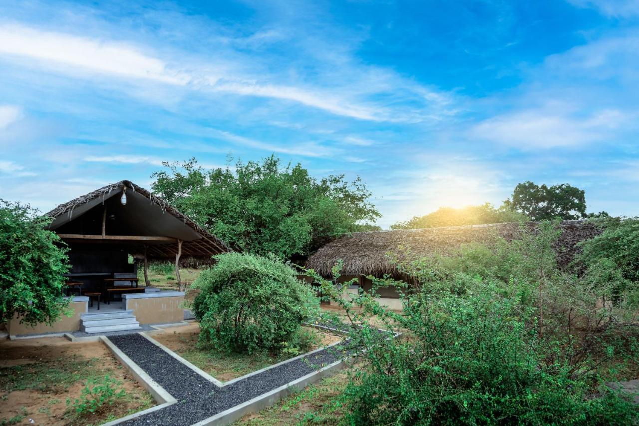 Hotel Yala Wild Hut - Yala Tissamaharama Exteriér fotografie