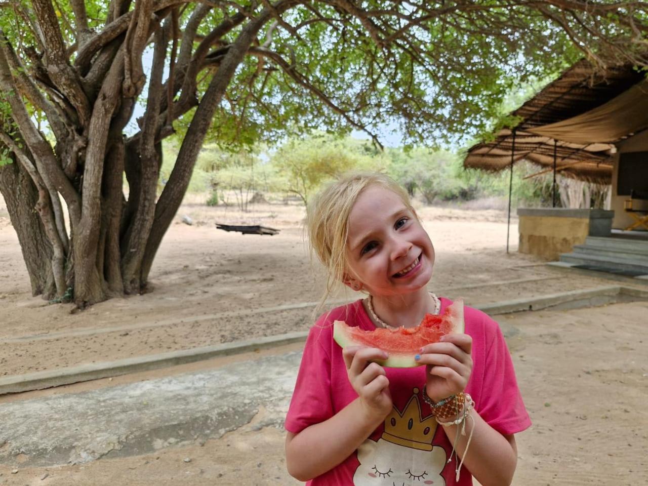 Hotel Yala Wild Hut - Yala Tissamaharama Exteriér fotografie